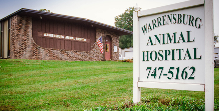 Home | Veterinarian in Warrensburg, MO | Warrensburg Animal Hospital